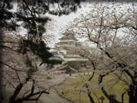 クリックで拡大！