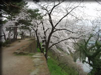 クリックで拡大！