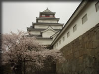 クリックで拡大！