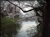 クリックで拡大！