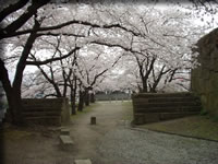 クリックで拡大！