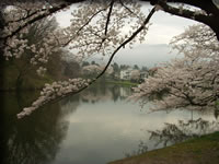 クリックで拡大！