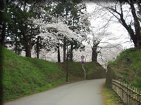 クリックで拡大！