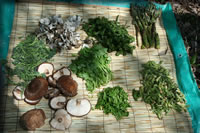 クリックで拡大！