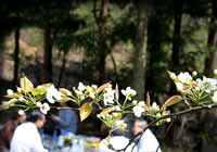 クリックで拡大！