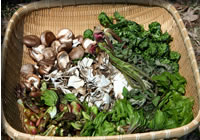 クリックで拡大！