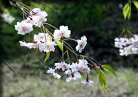 クリックで拡大！