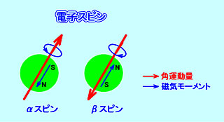 電子スピン