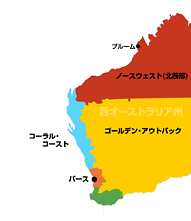 ブルームの位置