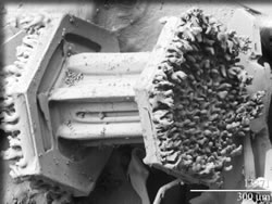 立体的な雪の結晶