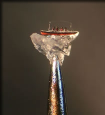 ピン先のタイタニック