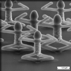 ラジオ体操第二？