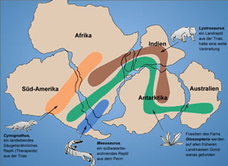 超大陸の生態系
