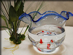 古典的な金魚蜂