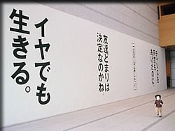 作:イチハラヒロコ