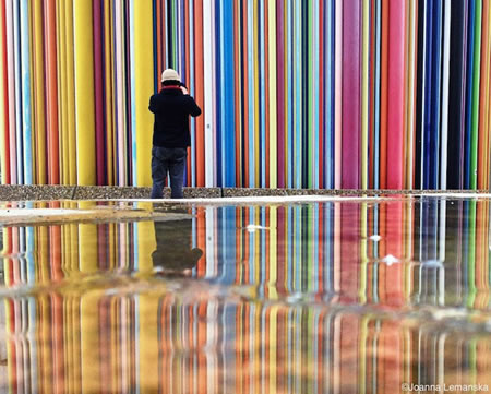 "Stripes" by Joanna Lemanska