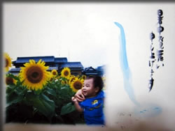 ������̏���������