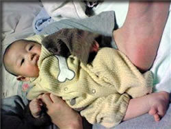 �y�����񂾂�`��