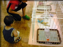 �Ȃ񂿂���ē�����