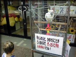 ���A�I�E�����I