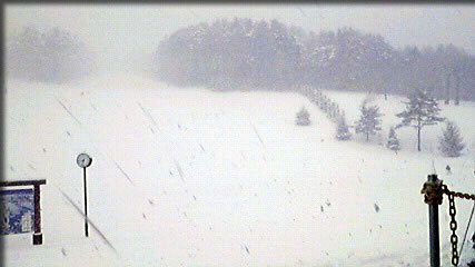 ２１日のスキー場