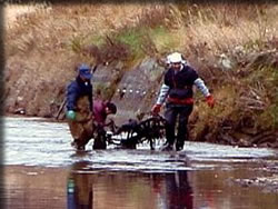 逢瀬川名物、川底の自転車