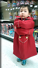 ゴーカイジャー