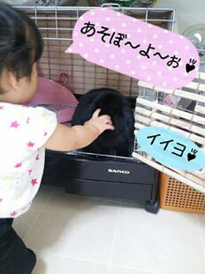 �˂��˂��E�E