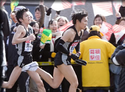 風が強く吹いている