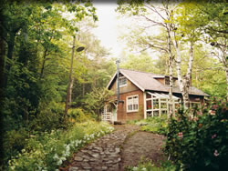 西の魔女のセット