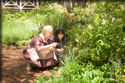 西の魔女が死んだ