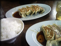 無料餃子とライス